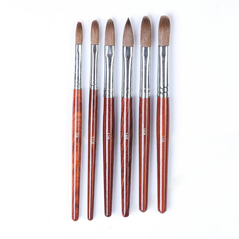 888 Acrylic Brush (Size #12-#20)