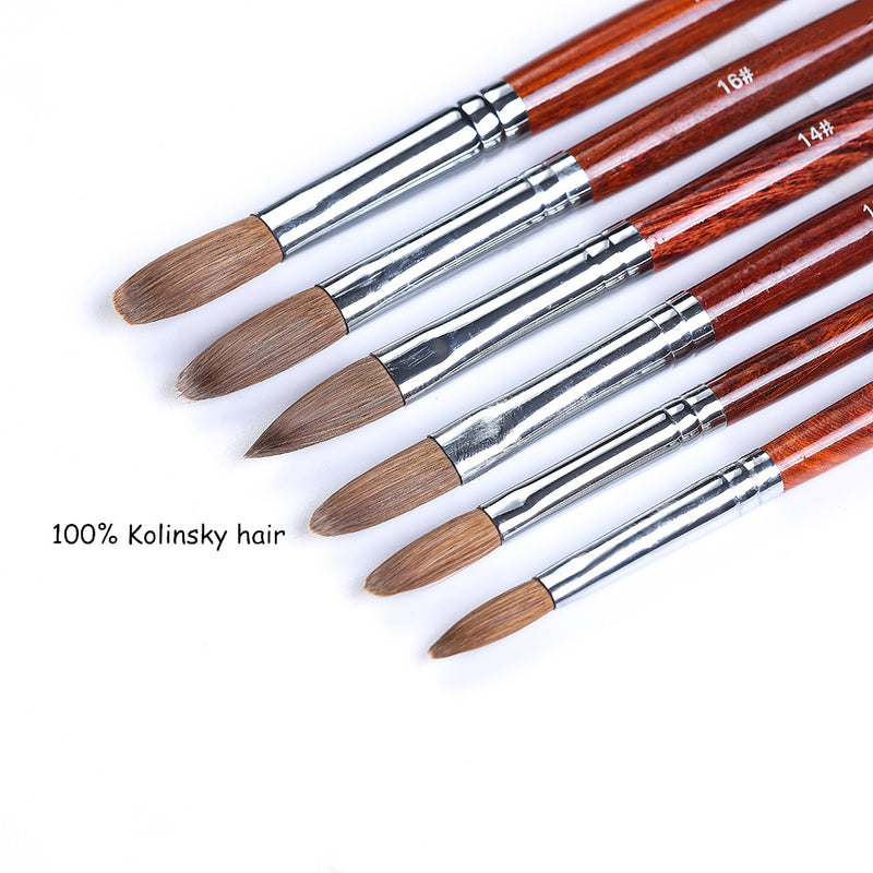 888 Acrylic Brush (Size #12-#20)