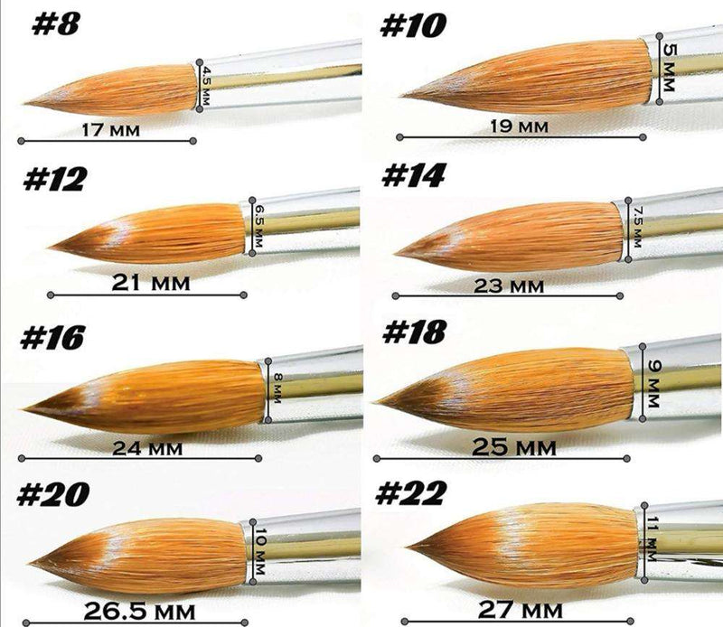 888 Acrylic Brush (Size #12-#20)