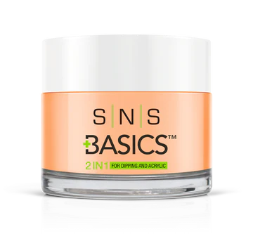 SNS Basics Dipping Powder (#001-#100)