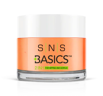 SNS Basics Dipping Powder (#001-#100)